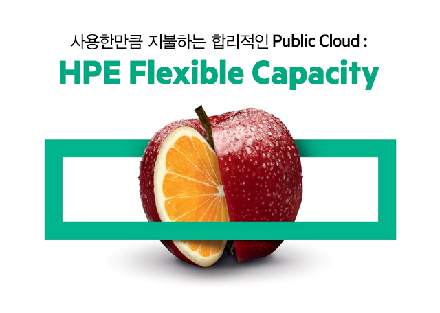 사용한만큼 지불하는 합리적인 Public Cloud :HPE Flexible Capacity