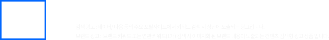 SEM 키워드, 브랜드 검색광고