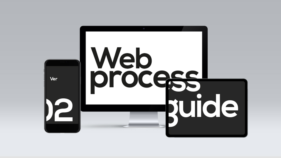 Web Process Guide