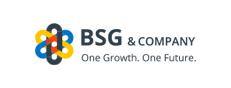 BSG & COMPANY